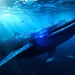 un biologo marino spiega il misterioso e affascinante motivo per cui le balene comunicano a migliaia di chilometri di distanza, svelando i segreti delle loro incredibili capacità di comunicazione subacquea.