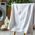 scopri un metodo efficace per eliminare completamente la muffa dai tessuti senza usare candeggina né sapone, mantenendo i tuoi capi puliti e freschi in modo naturale.