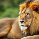 scopri perché i leone sono sempre protagonisti nelle relazioni secondo un astrologo esperto. approfondisci i segreti del loro carisma e potere in amore.